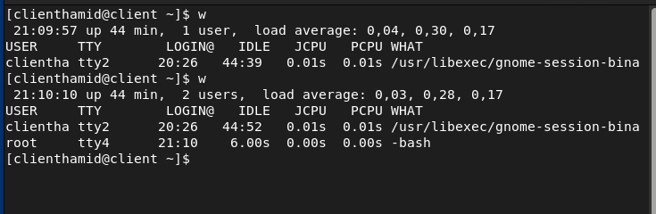Sortie de la commande w avant et après ouverture d'un terminal virtuel : clienthamid sur tty2 puis root sur tty4